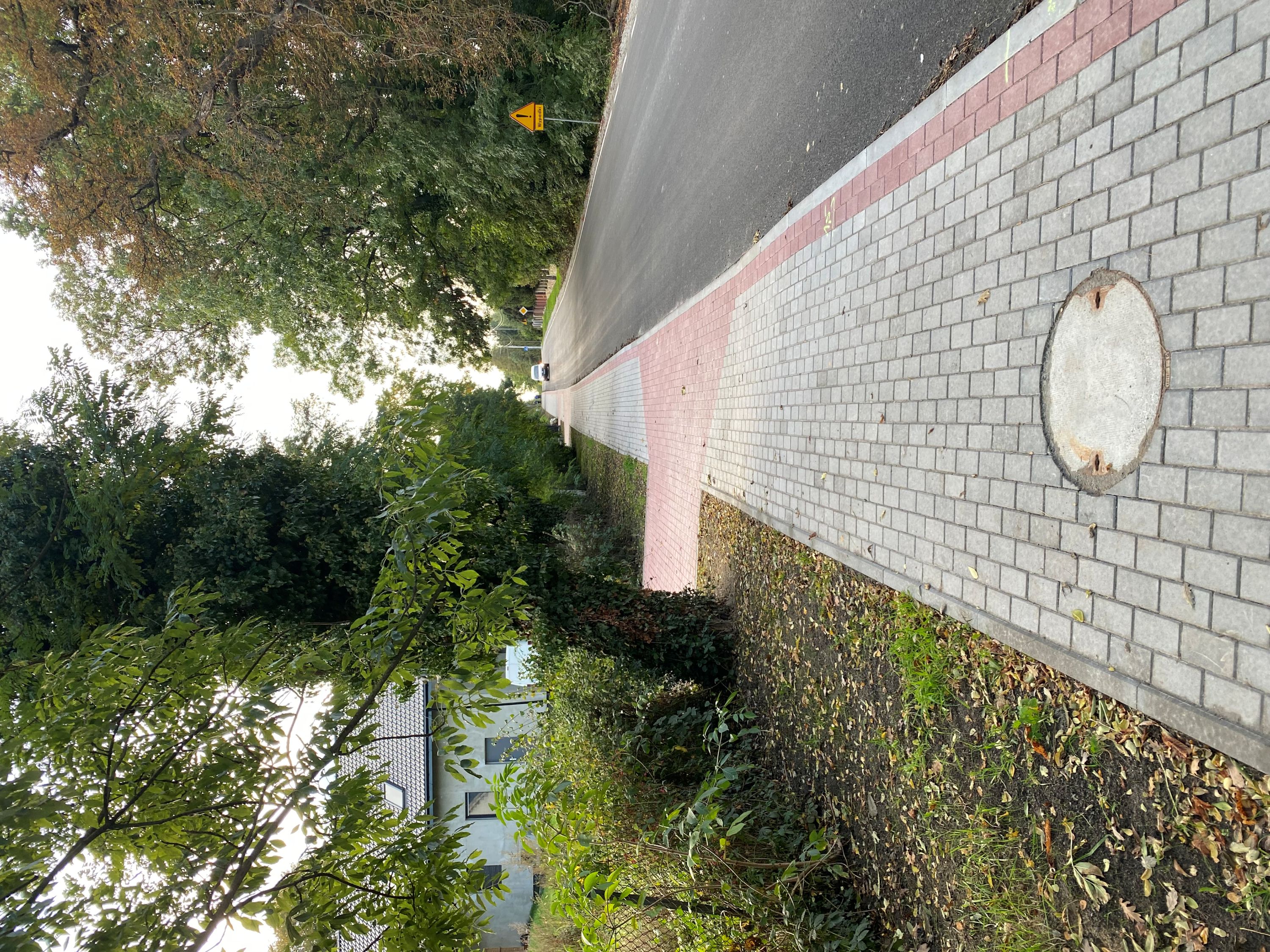 Droga publiczna Wiry - Wirki - Image 4